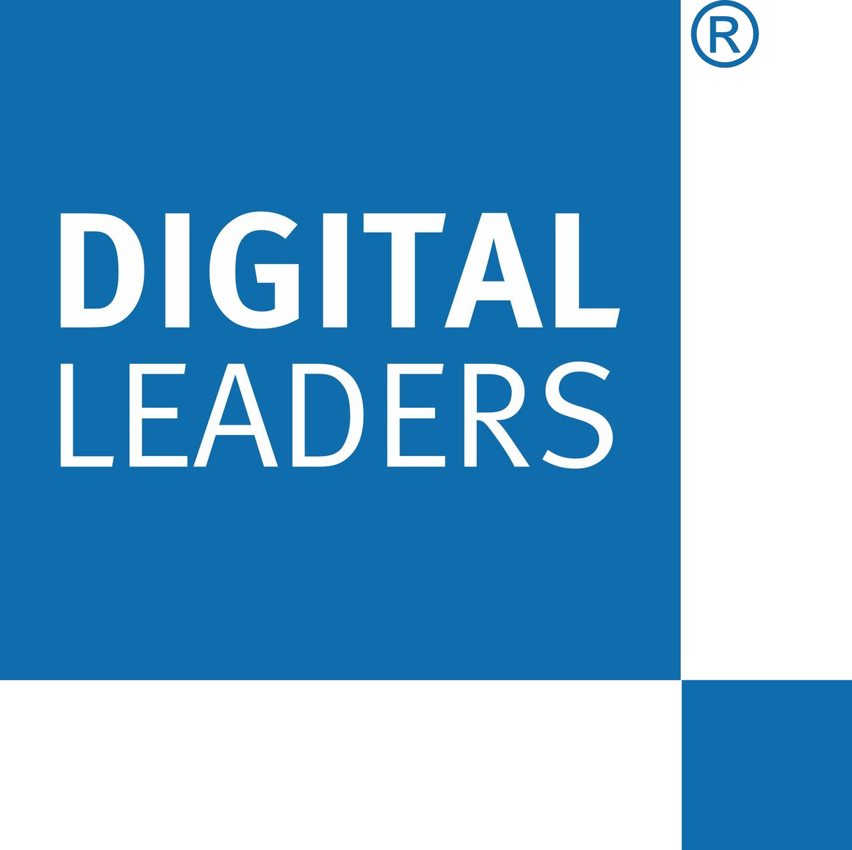 Digital Leaders logo