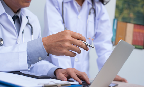 Photo showing two Doctors looking at a computer