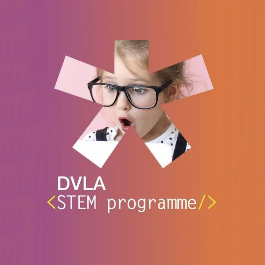 DVLA stem programme